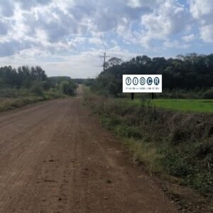 Cartel - Av.Alejandro Pereira