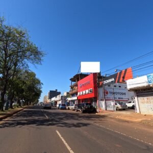 Cartel - Av.Bernardino Caballero