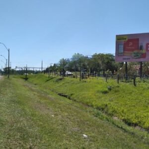 Cartel - Honorio Grua